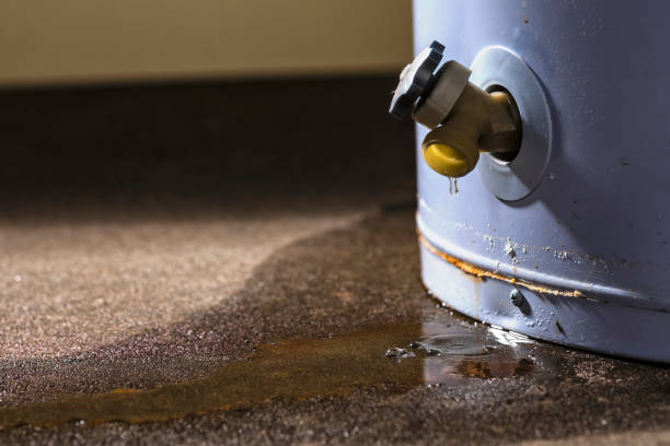 Best 24-hour water damage restoration  in Wolcottville, IN