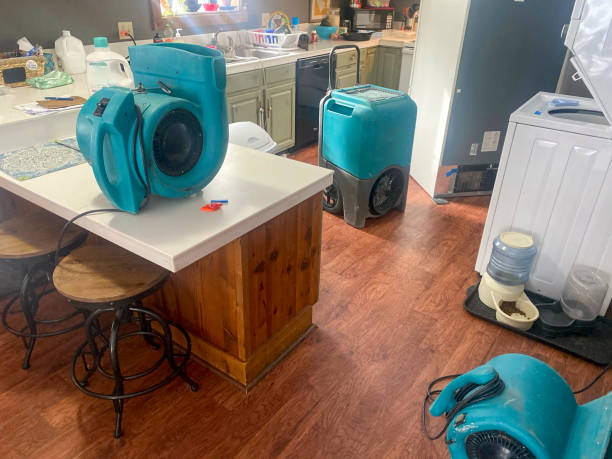 Best Ceiling water damage repair  in Wolcottville, IN