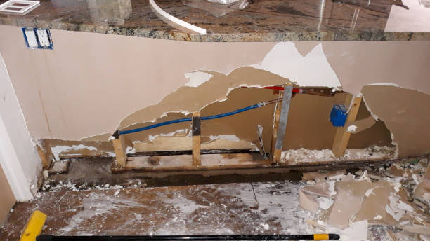 Best Local water damage restoration  in Wolcottville, IN