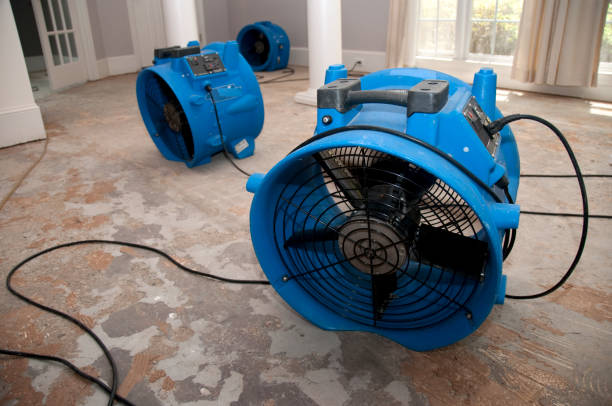 Best Water damage contractors near me  in Wolcottville, IN