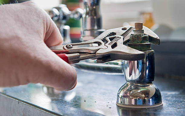 Best Fire Damage Restoration  in Wolcottville, IN