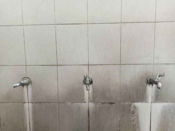 Best Commercial water damage restoration  in Wolcottville, IN