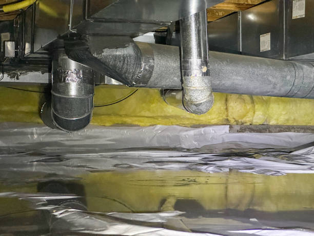 Best Professional water damage repair  in Wolcottville, IN